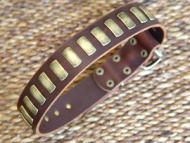 Rottweiler  leather dog collar